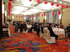 2015 積蓄力量，2016 大勝歸來